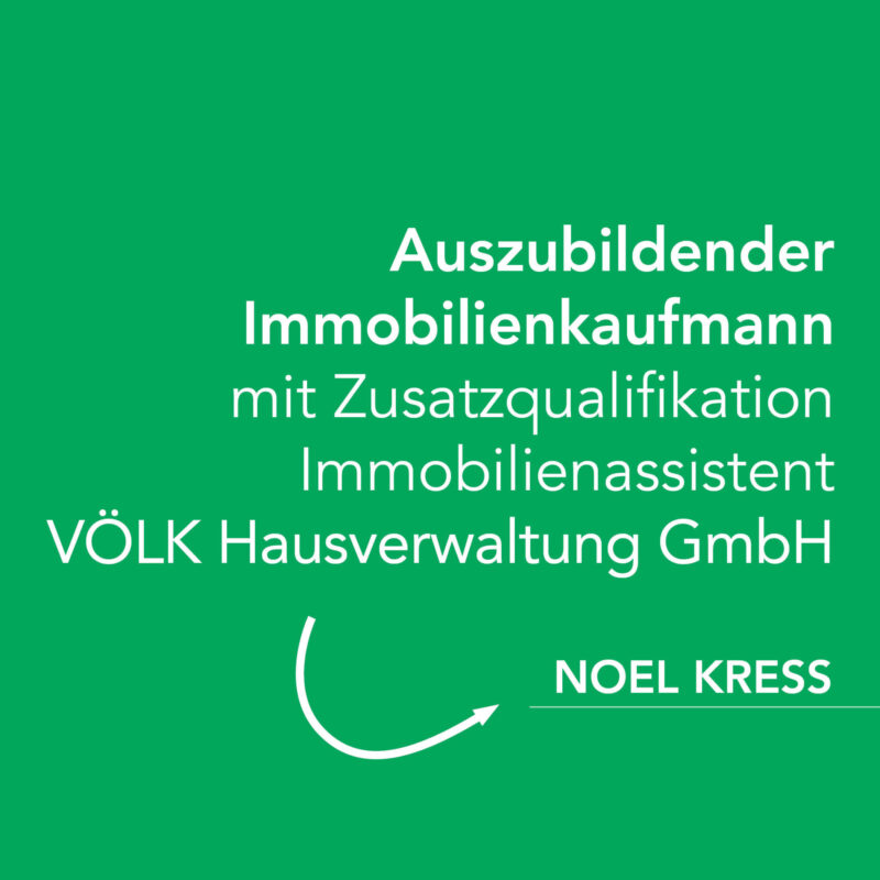 Verstärkung im Team, Noel Kress, Auszubildender Immobilienkaufmann