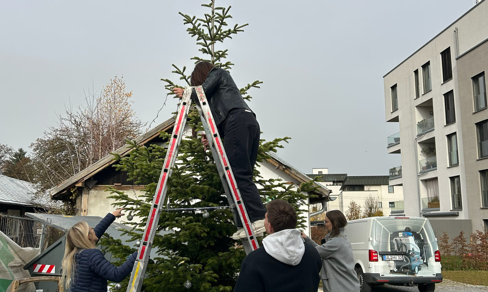 Weihnachtsbaum Team Adventszeit Stimmung Arbeit