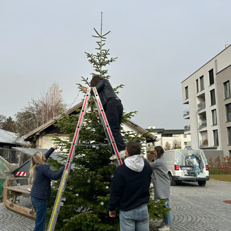 Weihnachtsbaum Team Adventszeit Stimmung Arbeit