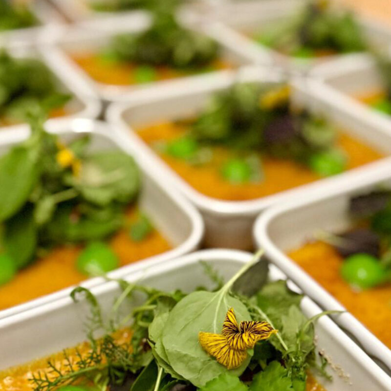 Spendenübergabe Aktion 100000 Ulmer helft Essen mit Freunden Aktion Kuschelbär Chris Mertl Johannes Völk Sabine Völk